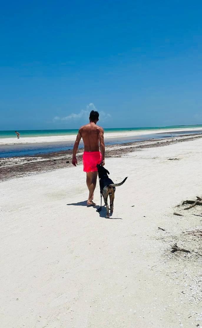 Pachamama Holbox - Hostel & Private Apartments 외부 사진