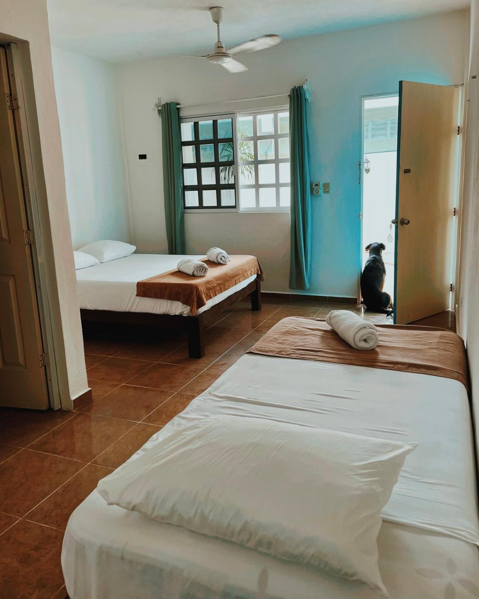 Pachamama Holbox - Hostel & Private Apartments 외부 사진